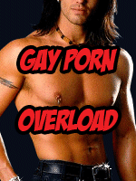 Gay Porn Overload